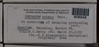 Image Associated With the Occurence